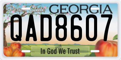 GA license plate QAD8607