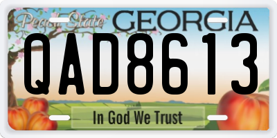 GA license plate QAD8613