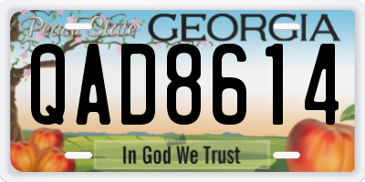 GA license plate QAD8614