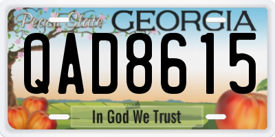 GA license plate QAD8615