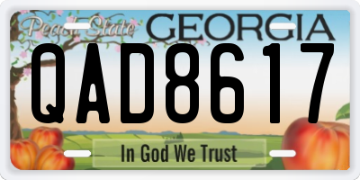 GA license plate QAD8617