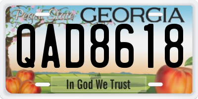 GA license plate QAD8618