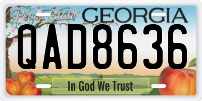 GA license plate QAD8636