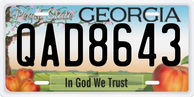 GA license plate QAD8643