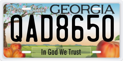 GA license plate QAD8650
