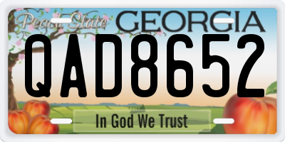 GA license plate QAD8652