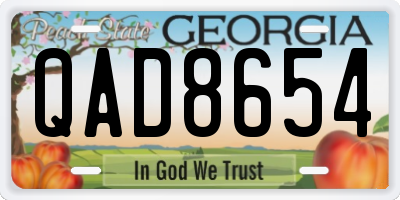 GA license plate QAD8654