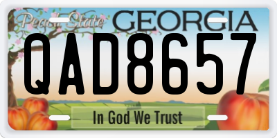 GA license plate QAD8657