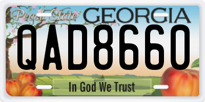 GA license plate QAD8660