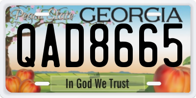 GA license plate QAD8665