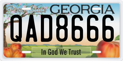 GA license plate QAD8666