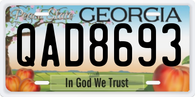 GA license plate QAD8693