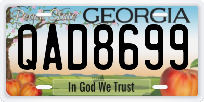 GA license plate QAD8699