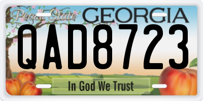 GA license plate QAD8723