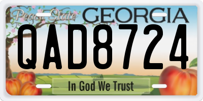 GA license plate QAD8724