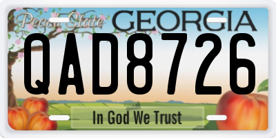 GA license plate QAD8726