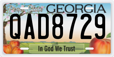 GA license plate QAD8729