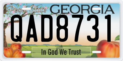 GA license plate QAD8731