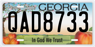 GA license plate QAD8733