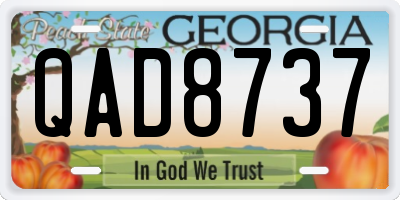 GA license plate QAD8737