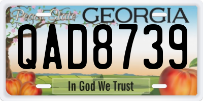 GA license plate QAD8739