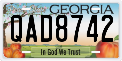 GA license plate QAD8742