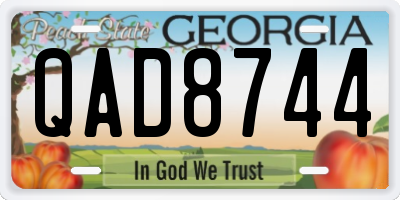 GA license plate QAD8744