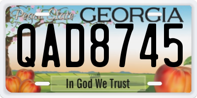 GA license plate QAD8745