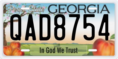 GA license plate QAD8754