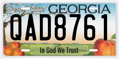 GA license plate QAD8761