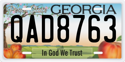 GA license plate QAD8763
