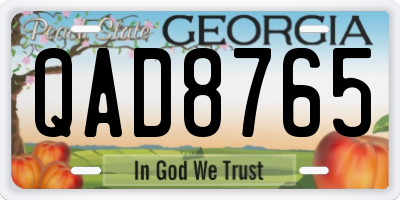 GA license plate QAD8765