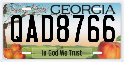 GA license plate QAD8766