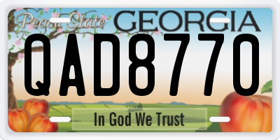 GA license plate QAD8770