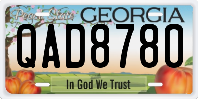 GA license plate QAD8780