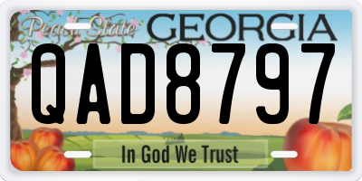 GA license plate QAD8797