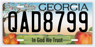 GA license plate QAD8799