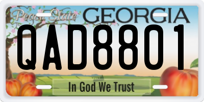 GA license plate QAD8801