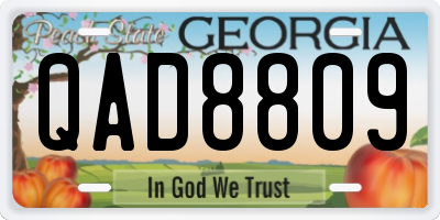 GA license plate QAD8809