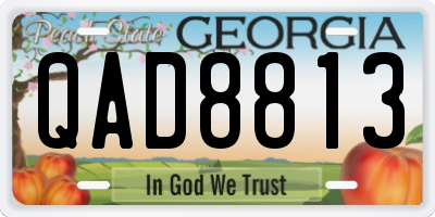 GA license plate QAD8813