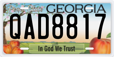 GA license plate QAD8817