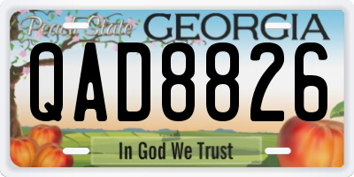 GA license plate QAD8826
