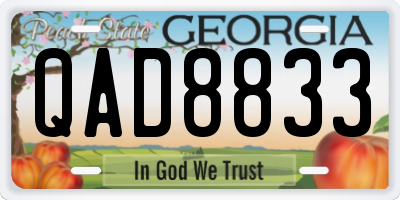 GA license plate QAD8833