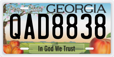 GA license plate QAD8838