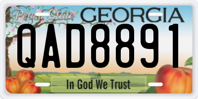 GA license plate QAD8891