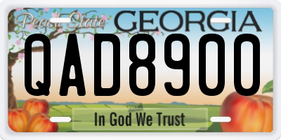 GA license plate QAD8900