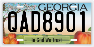 GA license plate QAD8901