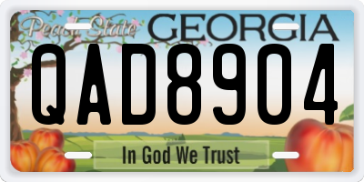 GA license plate QAD8904