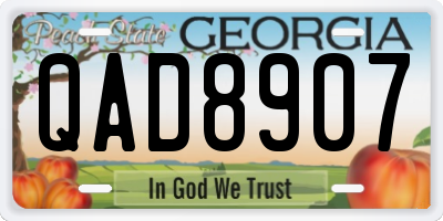 GA license plate QAD8907