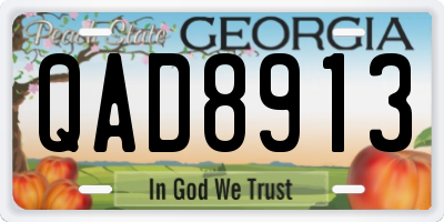 GA license plate QAD8913